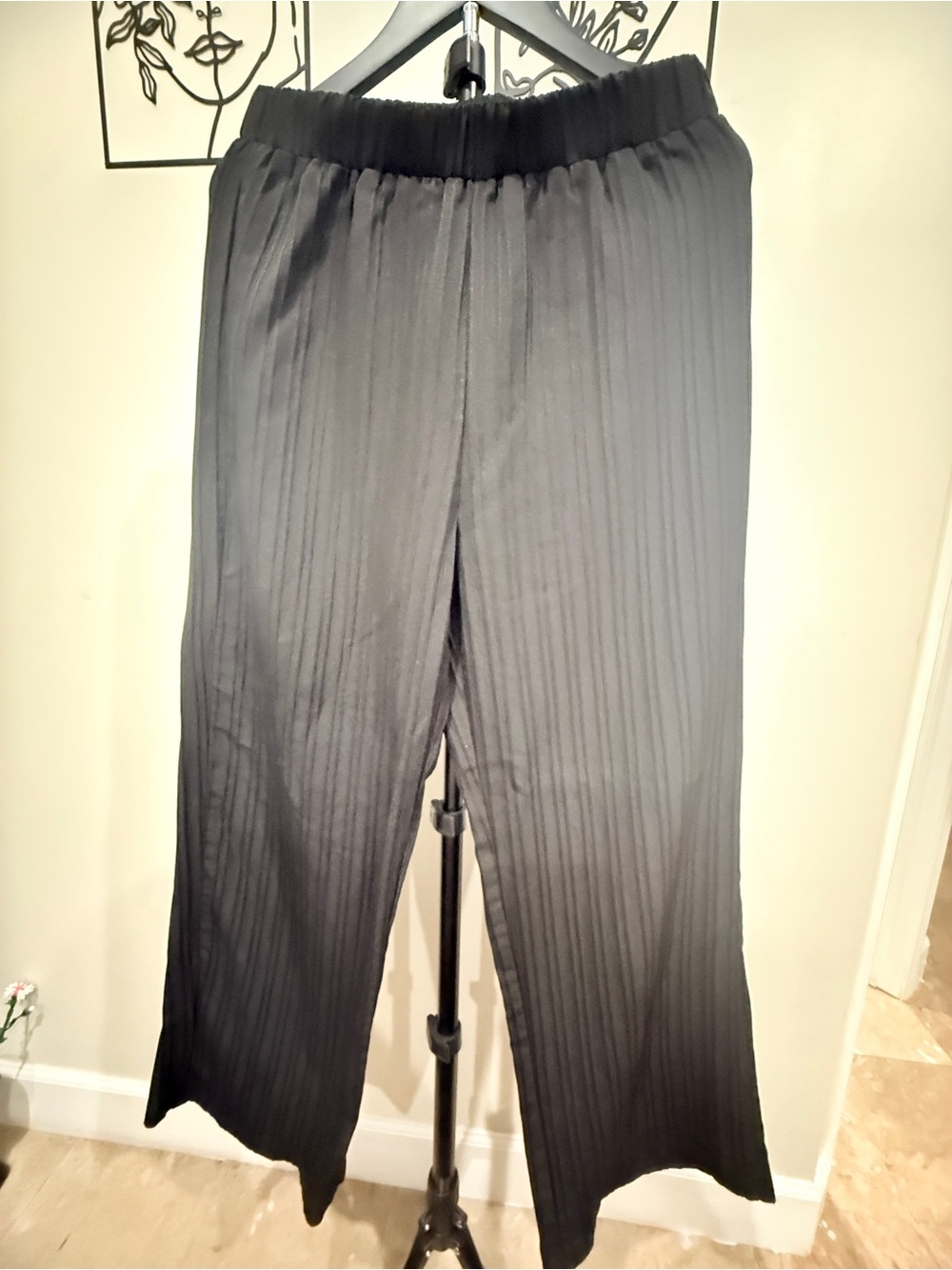 NWOT Black Pleated Wide-Leg Pants